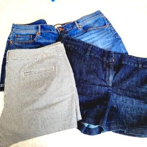 Loft Outlet Shorts - BUNDLE